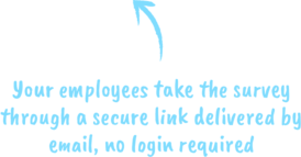 Your employees take the survey through a secure link delivered by email, no login required